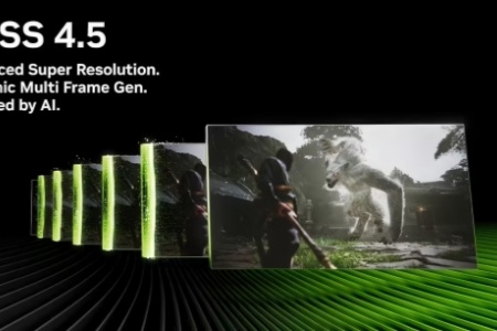 英伟达DLSS 4.5测试大表哥2 原生分辨率作为画质基准