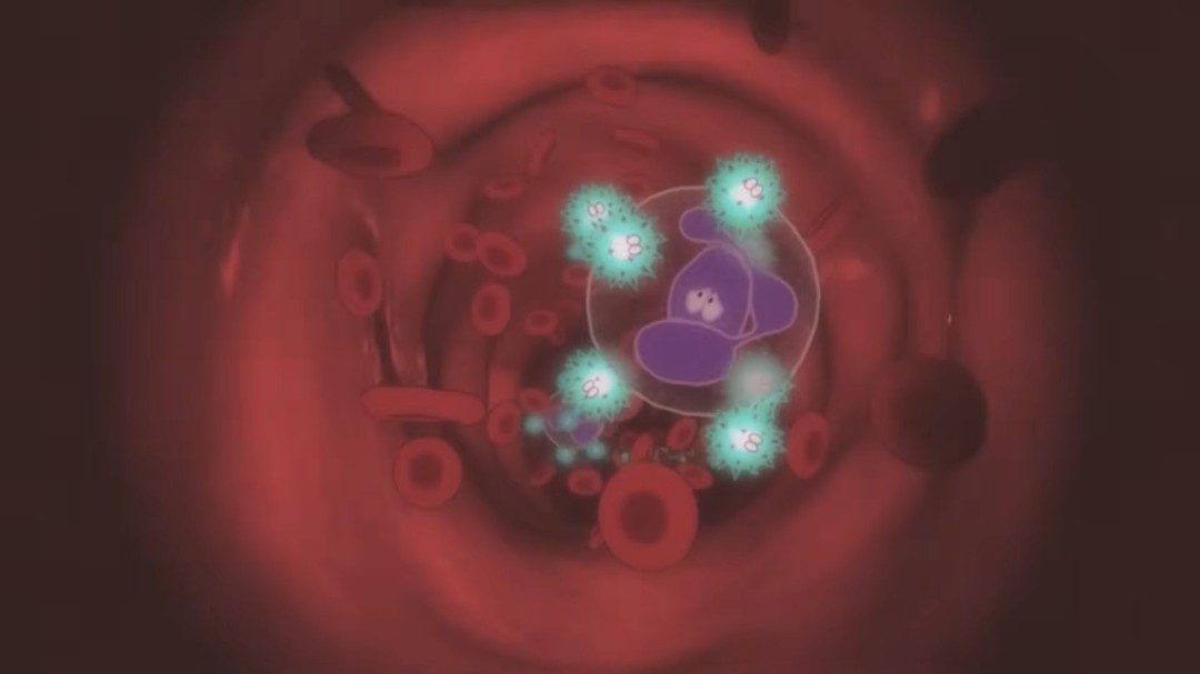 须田刚一《罗密欧是个绝命侠》发布全新开场预告(图8) 须田刚一《罗密欧是个绝命侠》发布全新开场预告