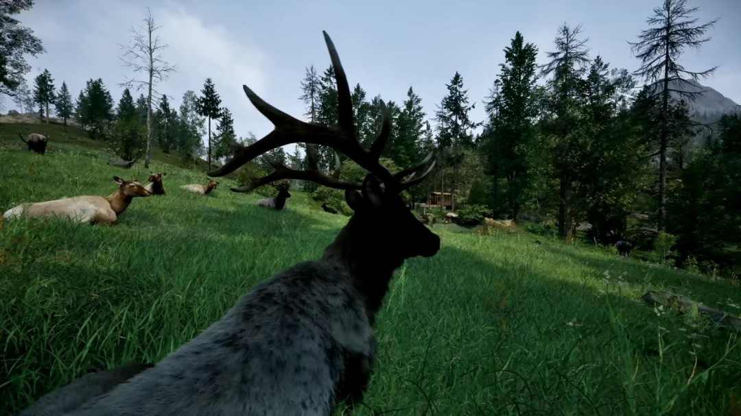 《护林员之路:国家公园模拟器》新预告公布(图3) 《护林员之路:国家公园模拟器》新预告公布