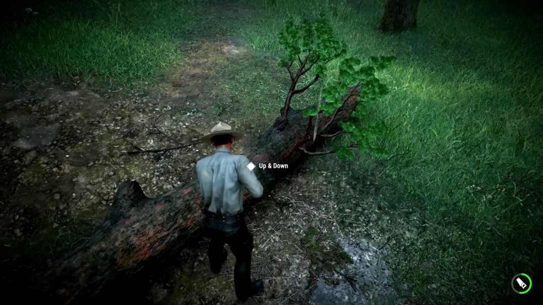 《护林员之路:国家公园模拟器》新预告公布(图4) 《护林员之路:国家公园模拟器》新预告公布