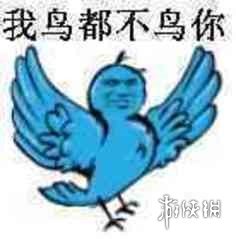 互联网新宠:鸽子舞王凭“雷霆舞姿”血洗全网(图11) 游侠网11