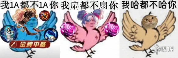 互联网新宠:鸽子舞王凭“雷霆舞姿”血洗全网(图12) 游侠网12