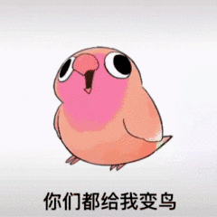 互联网新宠:鸽子舞王凭“雷霆舞姿”血洗全网(图16) 游侠网16