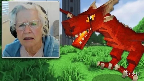 81岁奶奶直播《我的世界》赚钱为17岁孙子治疗癌症!(图1) 游侠网1