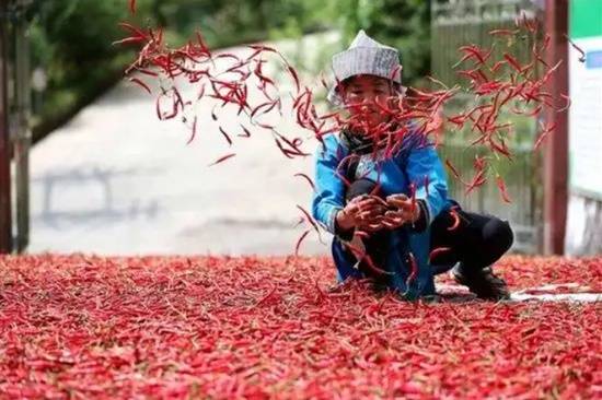 老干妈2024年营收逼近54亿元!重回巅峰 稳居行业第一(图4) 游侠网4