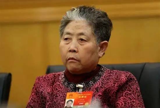 老干妈2024年营收逼近54亿元!重回巅峰 稳居行业第一(图3) 游侠网3